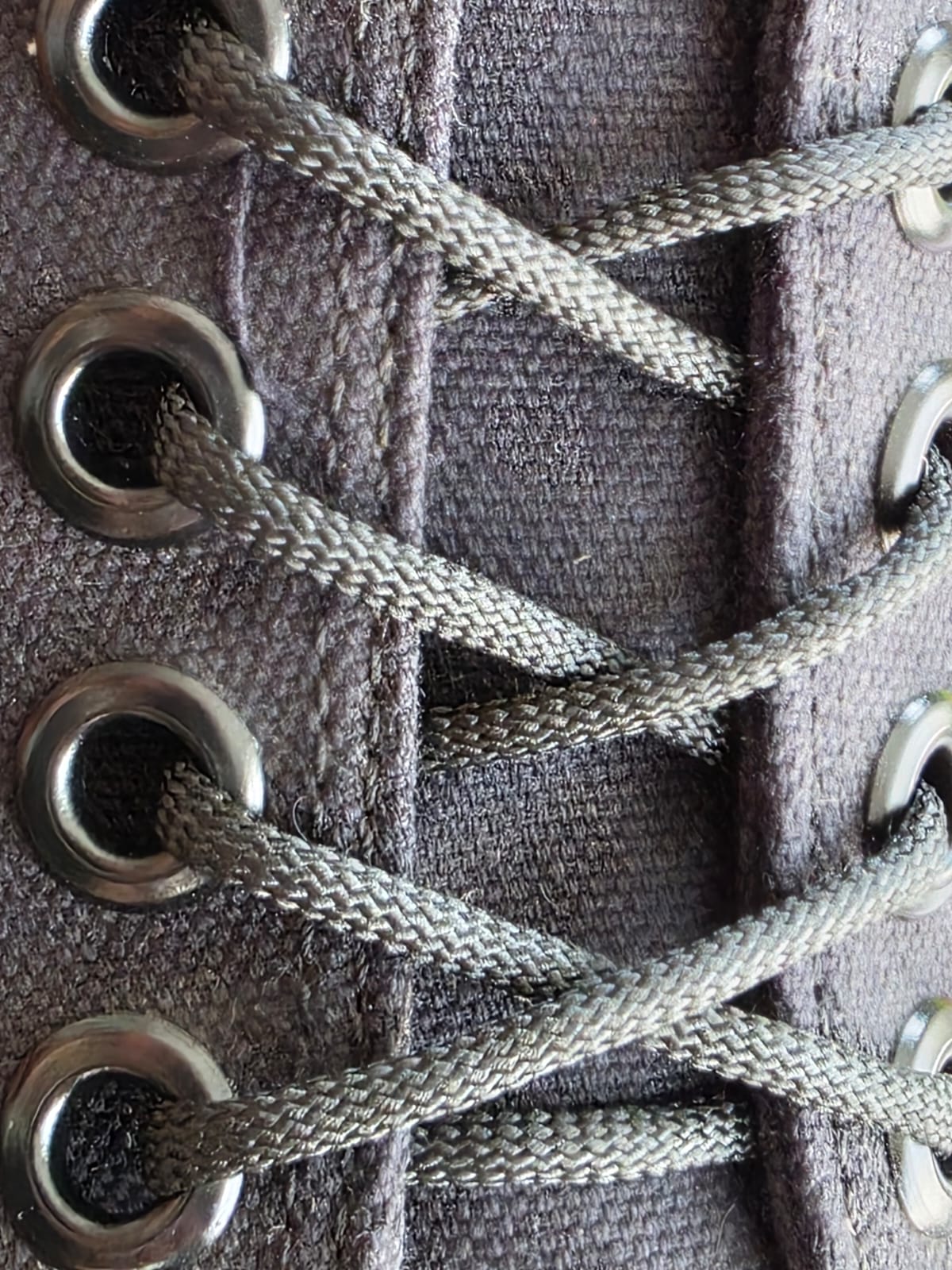 Cola de Ratón Negro